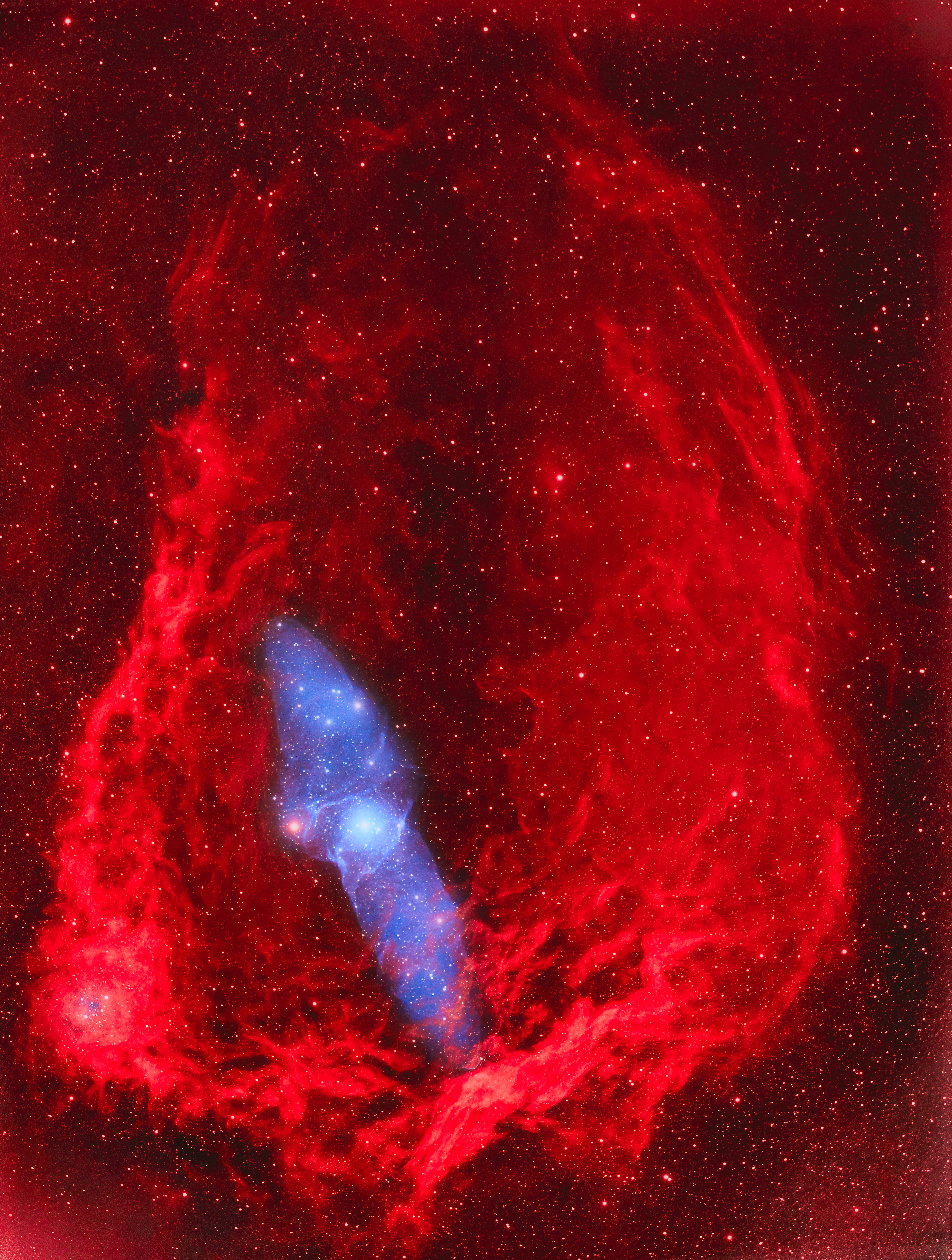 Cosmos